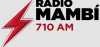 Logo for Radio Mambi 710 AM