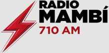 Radio Mambi 710 AM
