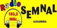 Radio Semnal