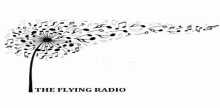 The Flying Radio