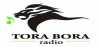 Logo for Tora Bora Radio