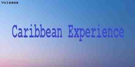 Voisses Caribbean Experience
