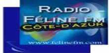 Feline FM