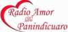 Logo for Radio Amor De Panindicuaro