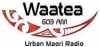 Logo for Radio Waatea