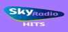 Logo for Sky Radio Hits