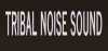 Logo for Tribal Noise Sound