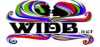 Logo for WIDB The Revolution