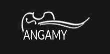Radio Angamy