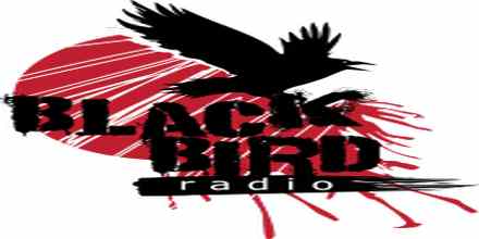Black Bird Radio