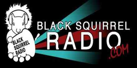 Black Squirrel Radio
