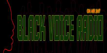 Black Voice Radio