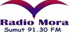 Mora Sumut 91.30 FM