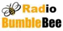 Radio BumbleBee