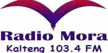 Radio Mora Kalteng