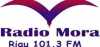 Logo for Radio Mora Riau