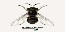 Barfly Radio