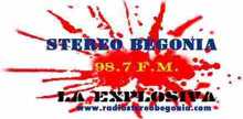 Radio Stereo Begonia