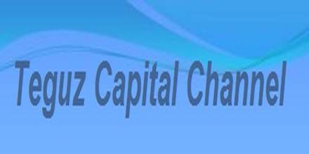 Teguz Capital Channel