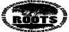 Roots Acoustic Radio