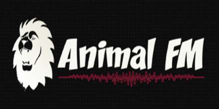 Animal FM Radio