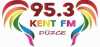 Logo for Duzce Kent FM