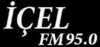 Logo for Icel FM