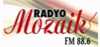 Logo for Radyo Mozaik