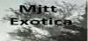 Logo for Mjtt Exotica