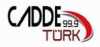 Logo for Cadde Turk