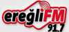 Logo for Eregli FM