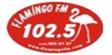 Flamingo FM