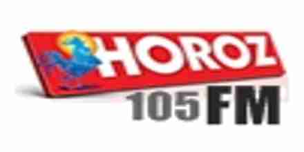 Horoz FM