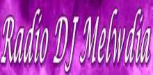 Radio DJ Melwdia