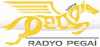 Logo for Radyo Pegai