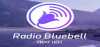 Radio Bluebell