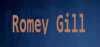 Logo for Romey Gill