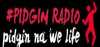 Logo for 9ja Pingin Radio