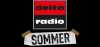 Logo for Delta Radio Sommer