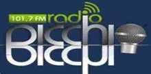 Radio Picchio FM