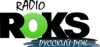 Logo for Radio Roks Russian Rock