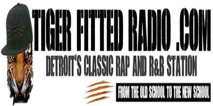 Tiger Fitted Radio