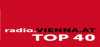 Logo for Vienna Top 40