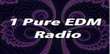 1 Reines EDM-Radio