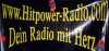 Hitpower Radio