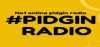 Logo for Pidgin Radio