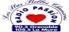 Logo for Radio Passion