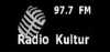 Logo for Radio Kultur