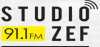 Logo for Studio Zef