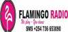 Flamingo Radio Nakuru